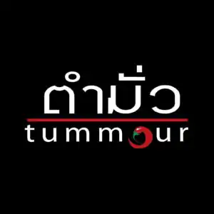 Tammour